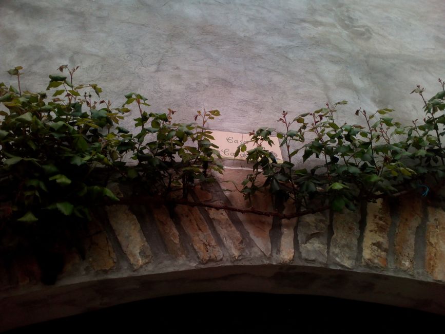 Fotos de Sant Joan de Vinyafrescal (la Pobla de Segur, Pallars Jussà, Lleida)