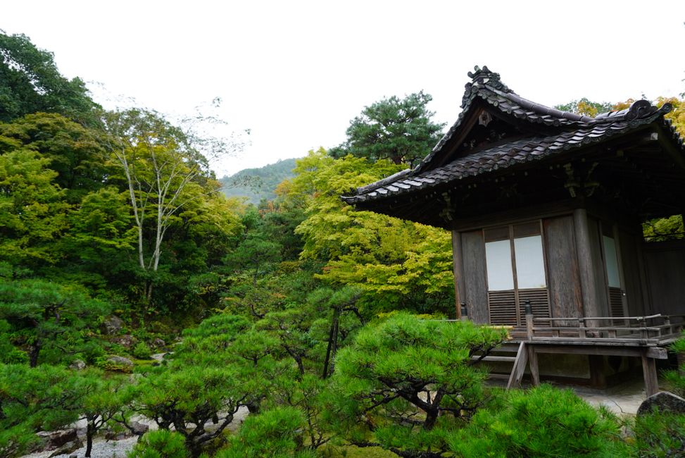 Gartenbesichtigung im regnerischen Kyoto
