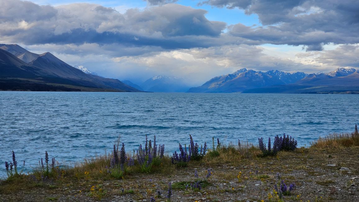 Omarama - Lake Pūkaki - Aoraki/Mount Cook - Lake Tekapo