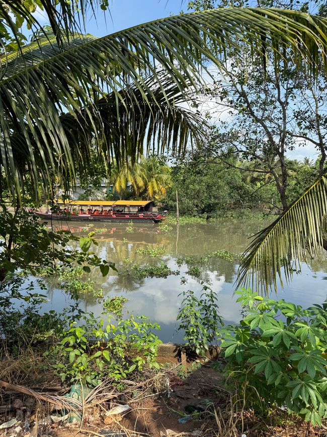In the rowboat