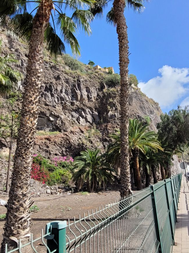 Day 164 (Part 2) of 175 planned days: Around the world cruise - Santa Cruz de Tenerife
