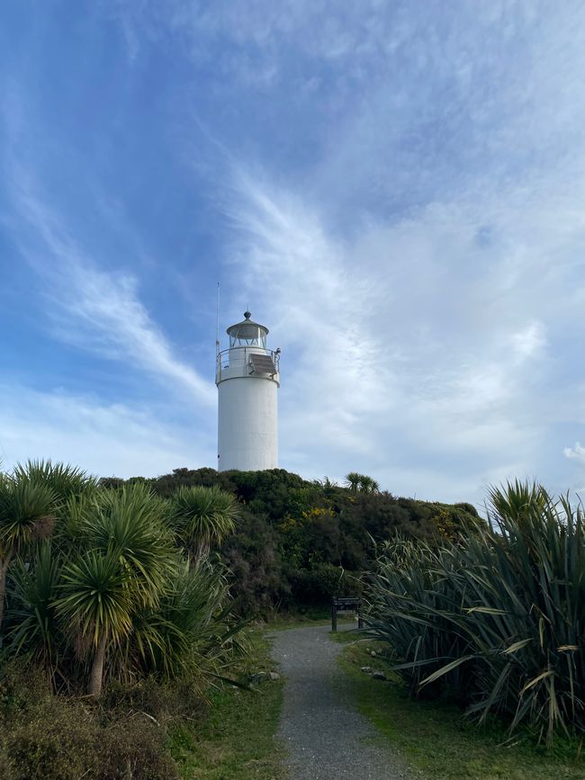 Da Hokitika a Carters Beach