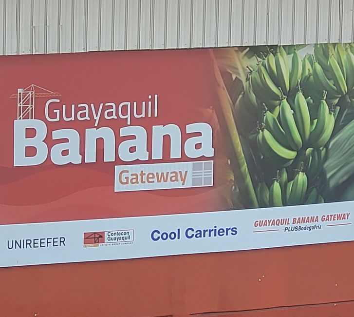 Giorno 46: Guayaquil/Ecuador 