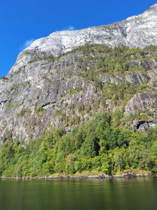 Etiqueta 7 Vossevangen - Flam
