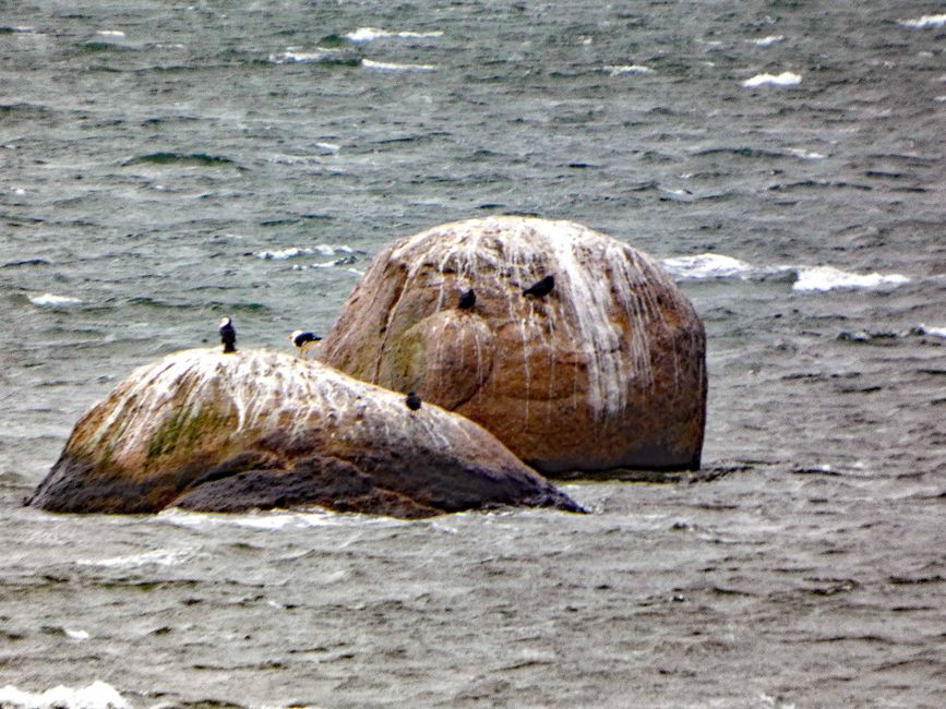 Wilsons-Promontory-Nationalpark
