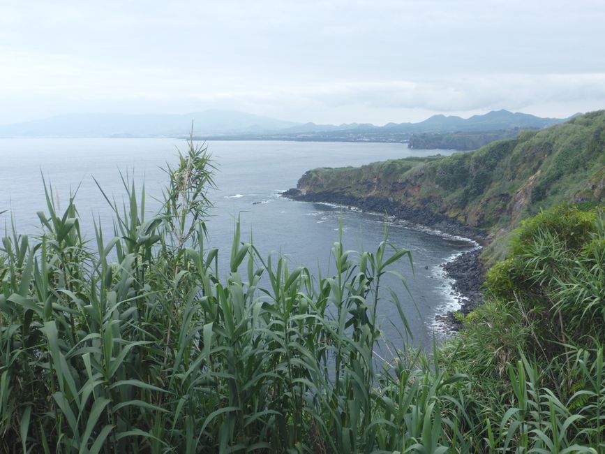 2025-07-12 Azoren, Ponta Delgada
