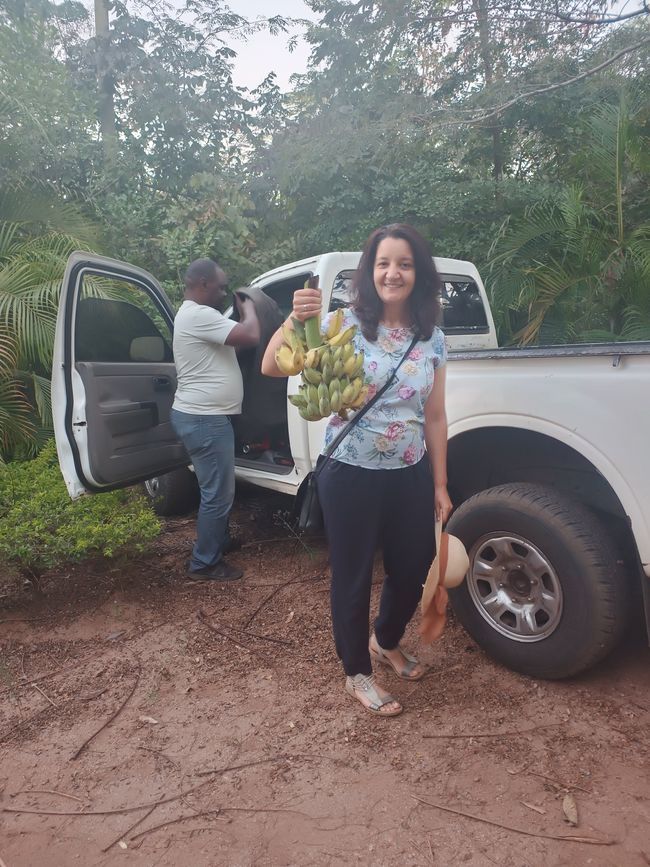 Botanischer Garten in Gondola