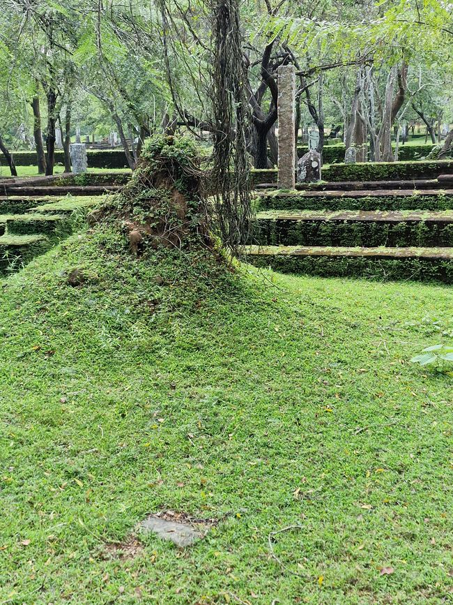 Polonnaruwa - 1000 años de historia y algo aprendido.