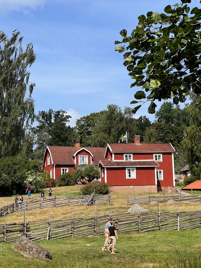 Svezia o anche Survival Camp