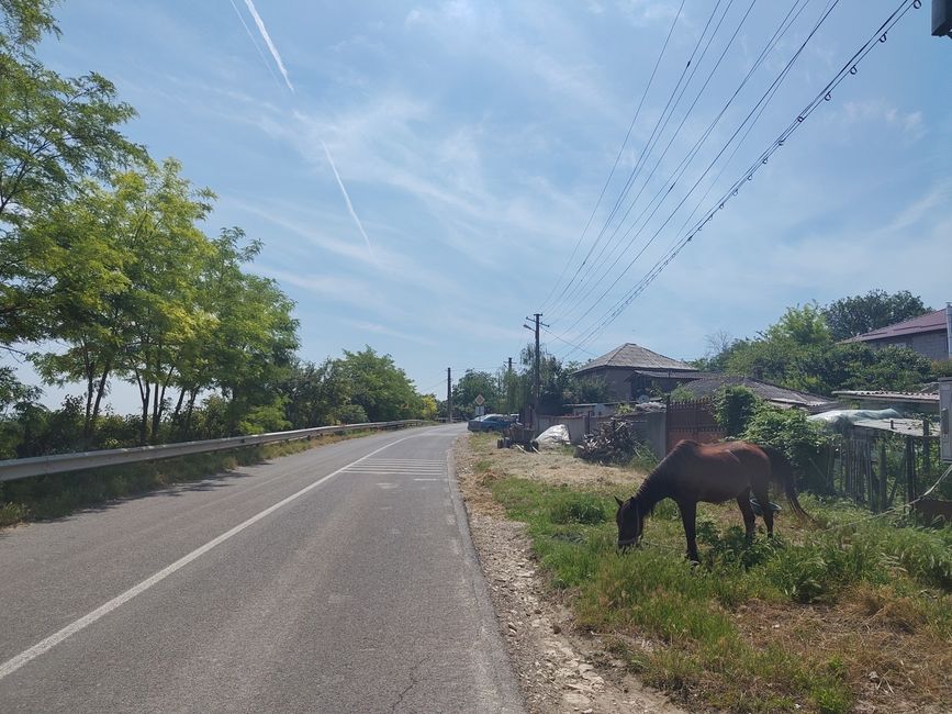 Ciao Mar Nero