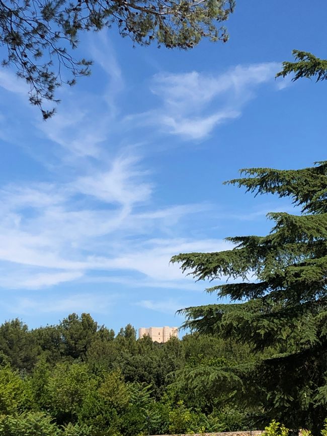 Le Vigne Al Castello Wine Resort