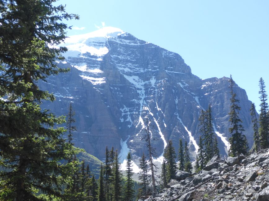 2025-06-19 sur l'Icefields Parkway de Jasper à Lake Louise, CA