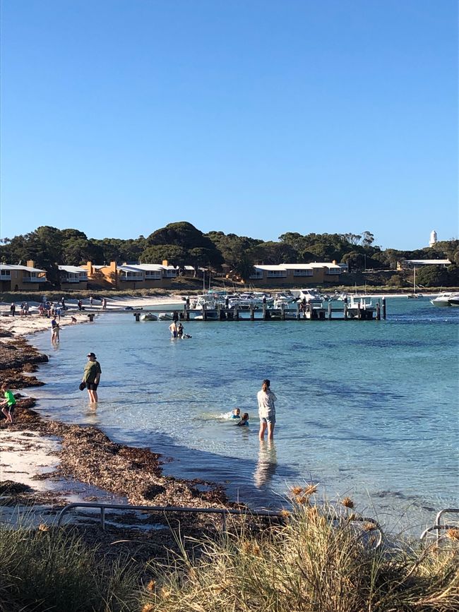 Thomson Bay