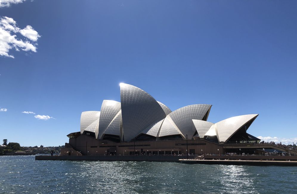 Prendere la Ferry 1 per Manly direttamente all'Opera House ...
