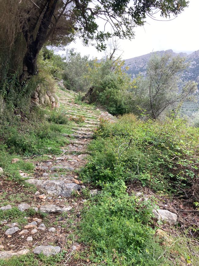 Fornalutx… heißt übersetzt, bestimmt- „steile Treppen“