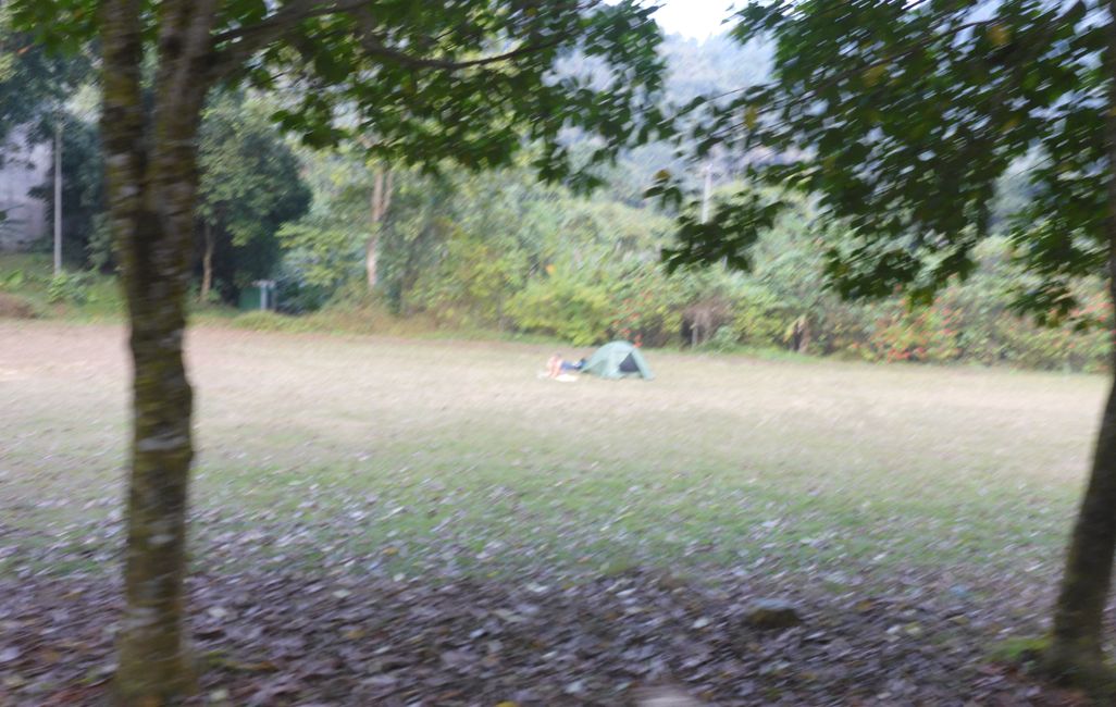 Ah, ici elle peut camper ?