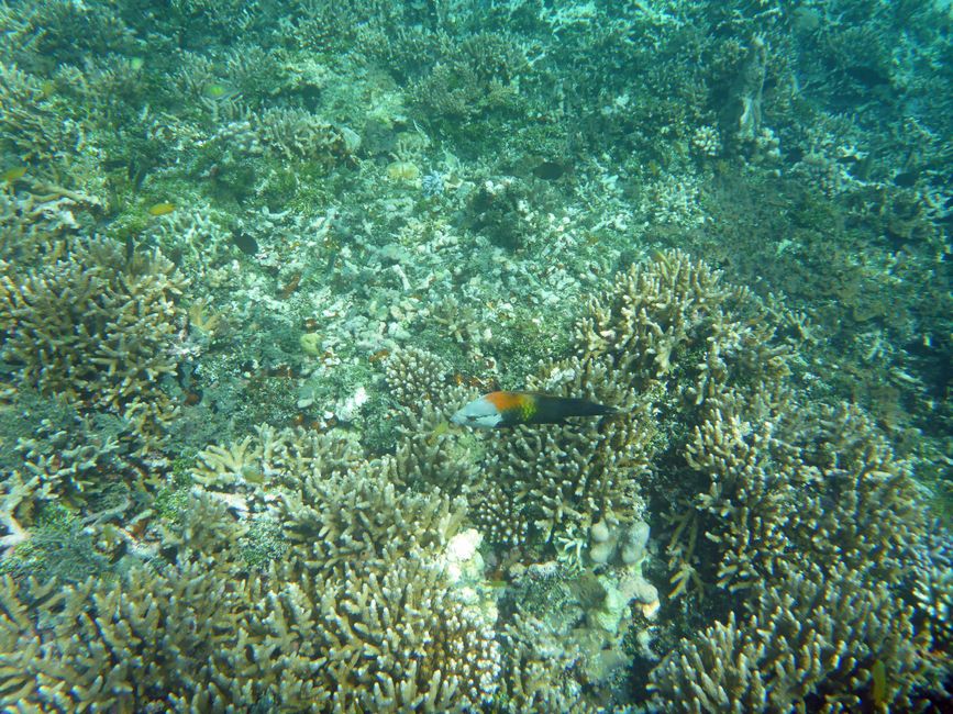 Waiag, Raja Ampat, Indonesia