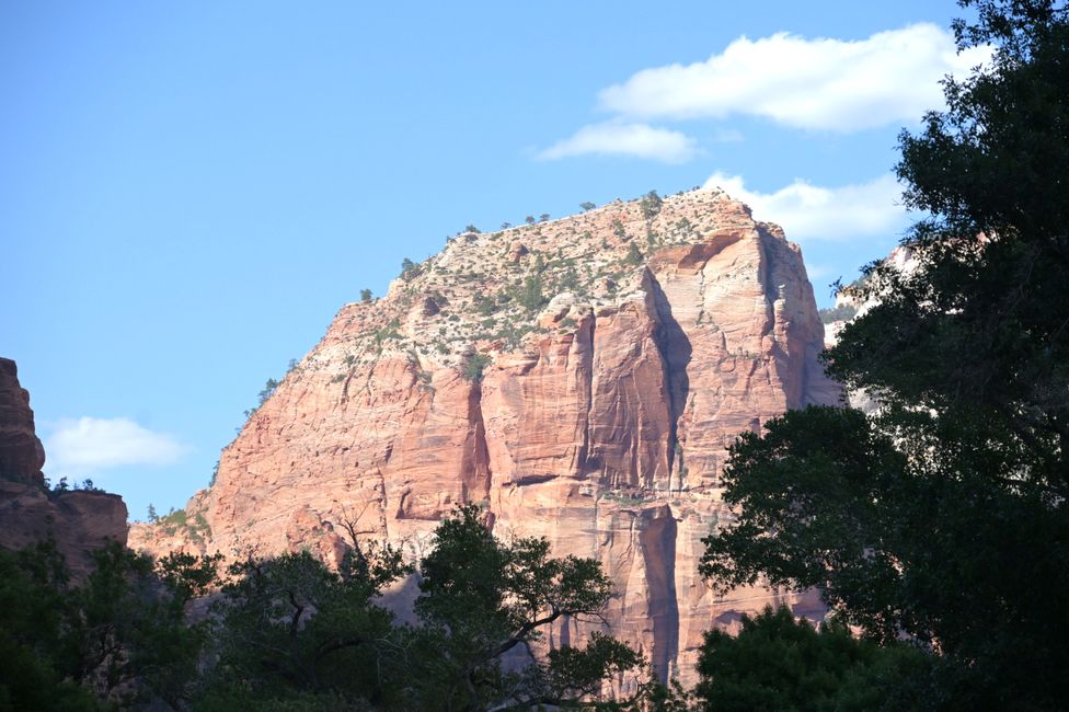 Blick zurück auf Angels Landing