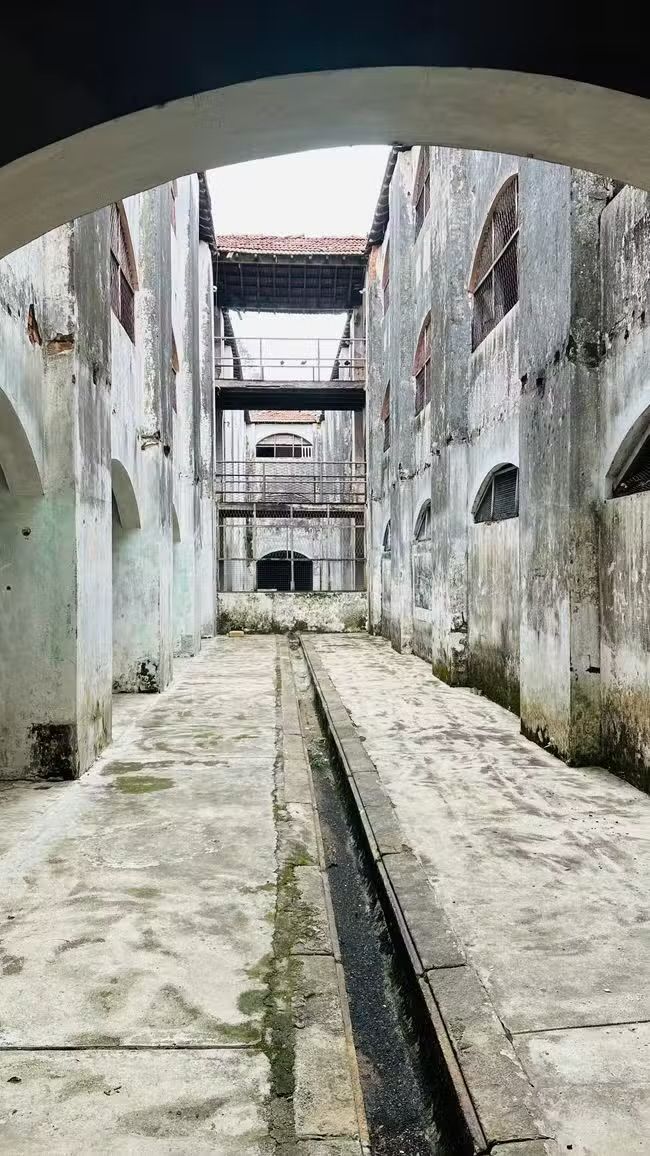 Partire per lo Sri Lanka