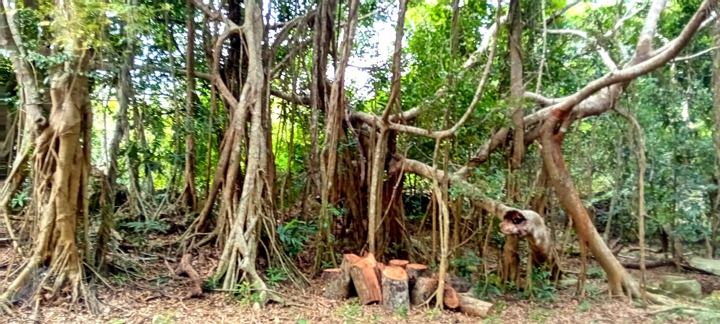 Parque Nacional Kenting
