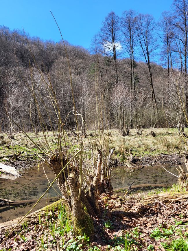 Parco Nazionale di Ojców