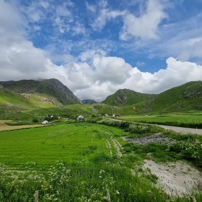 Reine, Nusfjord, Vikbeach-Haucklandstranda, Henningsvaer