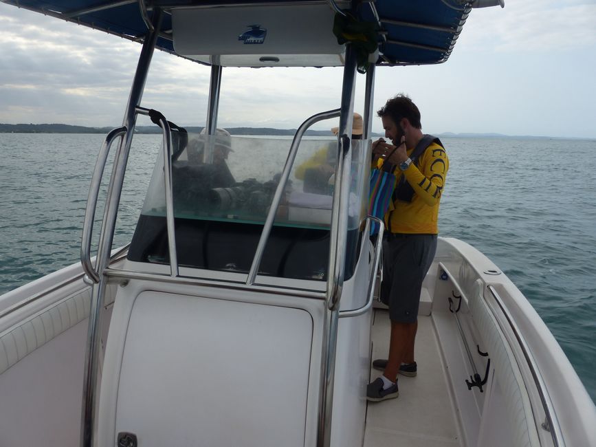 Brazil, Whale Watching