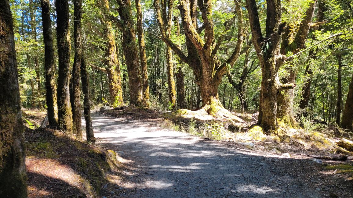 29.Januar-27.februar 2025 Neuseeland
12.Februar