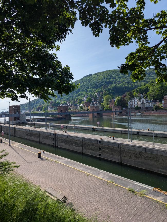 Heidelberg