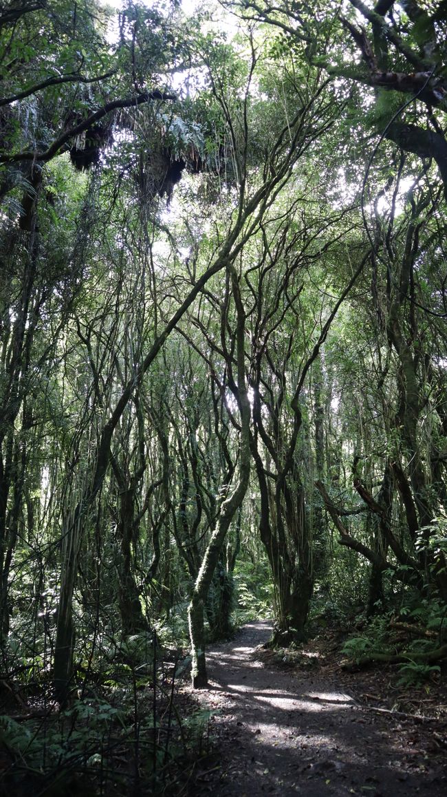 Rotokare Scenic Reserve