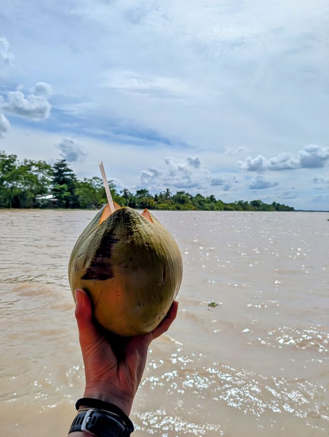 湄公河三角洲的片段