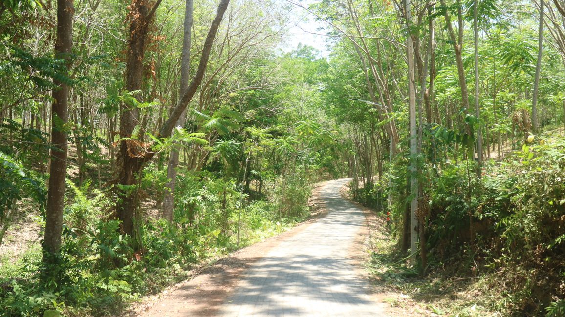 Ko Libong - Andamanensee - Thailand