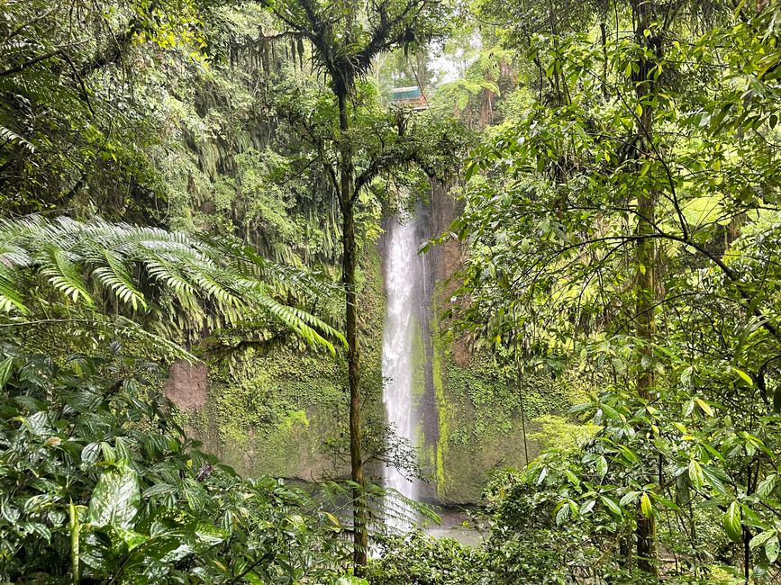 Tag 5 Tomohon et Bunaken