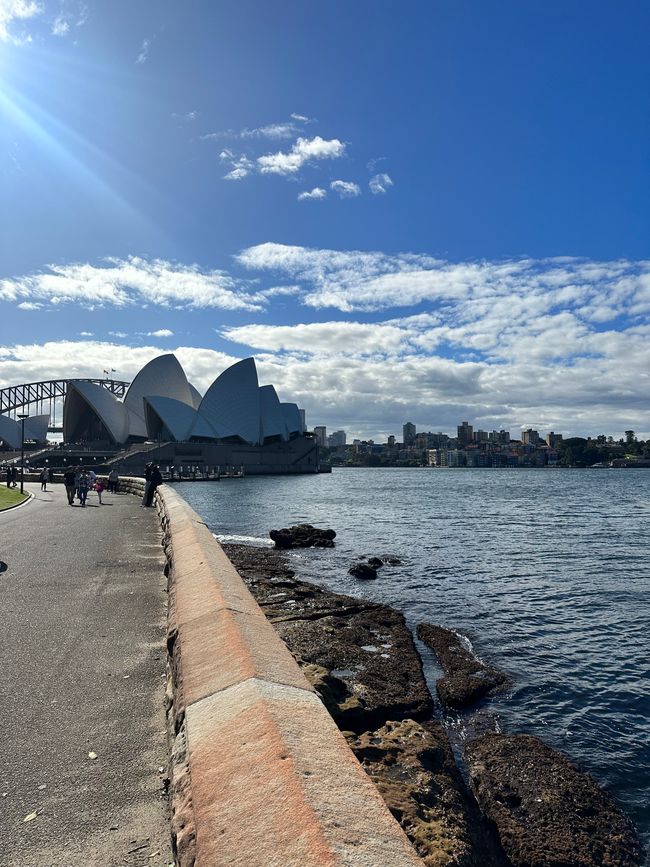Moin Sydney: First storms then sunshine (I'm running out of superlatives)
