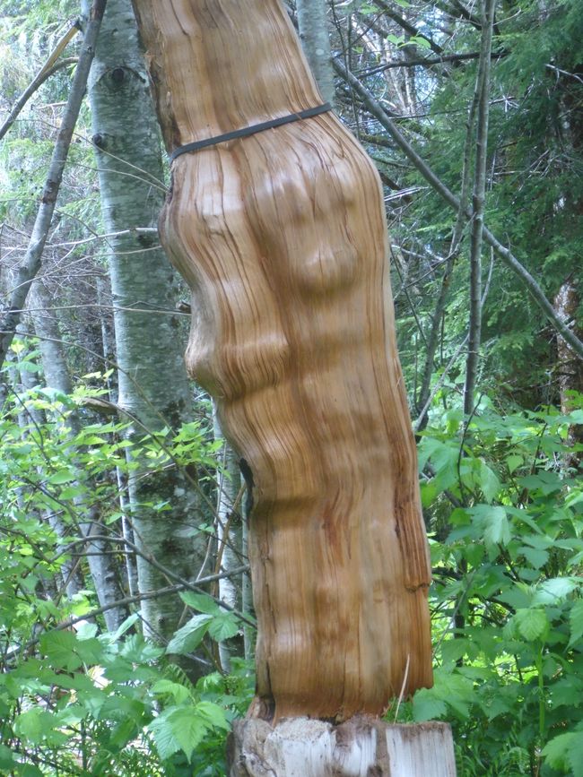 2025-05-29 Vancouver Island Cycling Tour