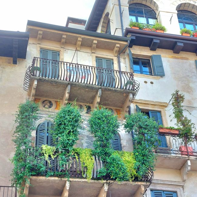 Verona