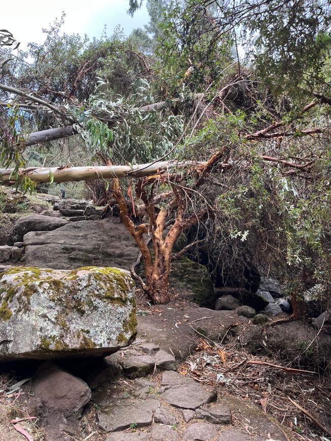 Day 17 
Mysterious hiking trail with "waterfall" somewhere in the Andes near Cusco