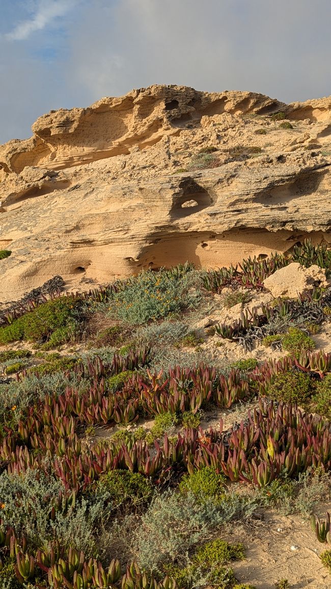 Dünenlandschaft mit Gesteinsformationen 