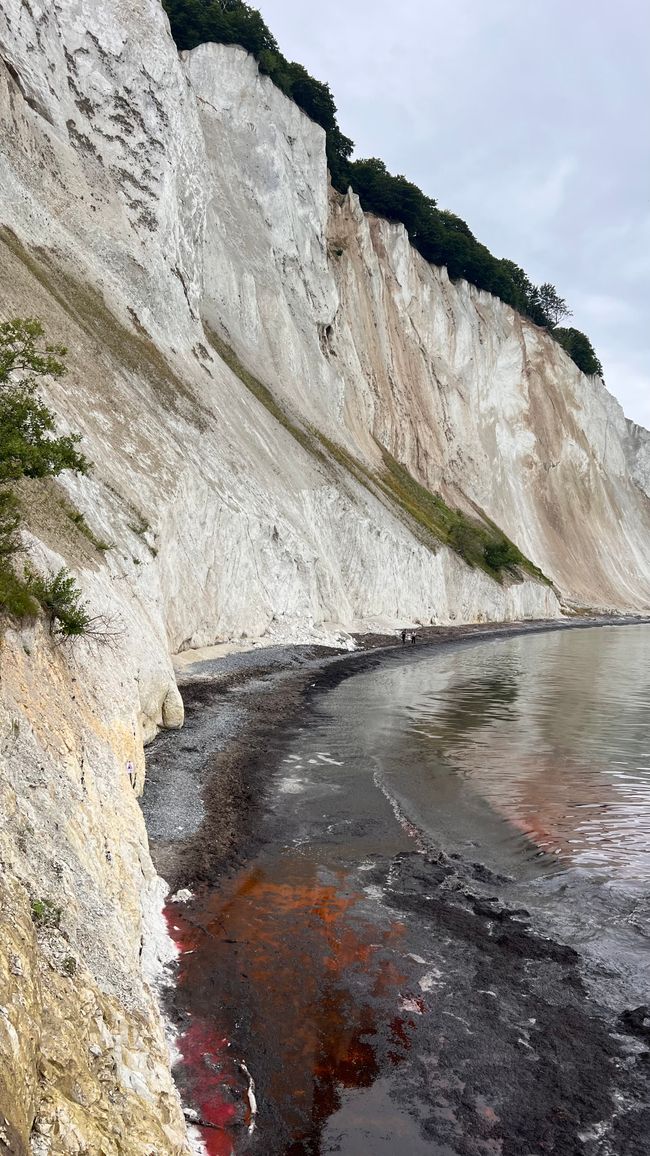 Chalk cliffs, Mons Klint, Denmark