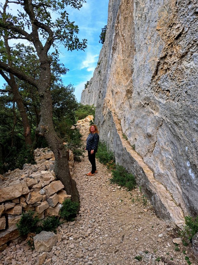 Los Aromas de las Alpilles