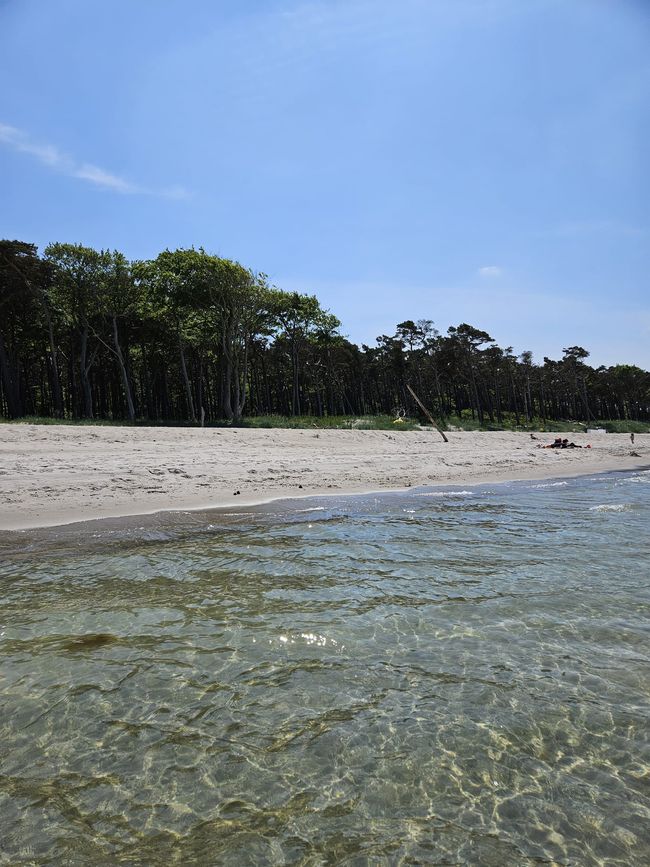 Fischland Darß Zingst - what do you need the sea?🤩