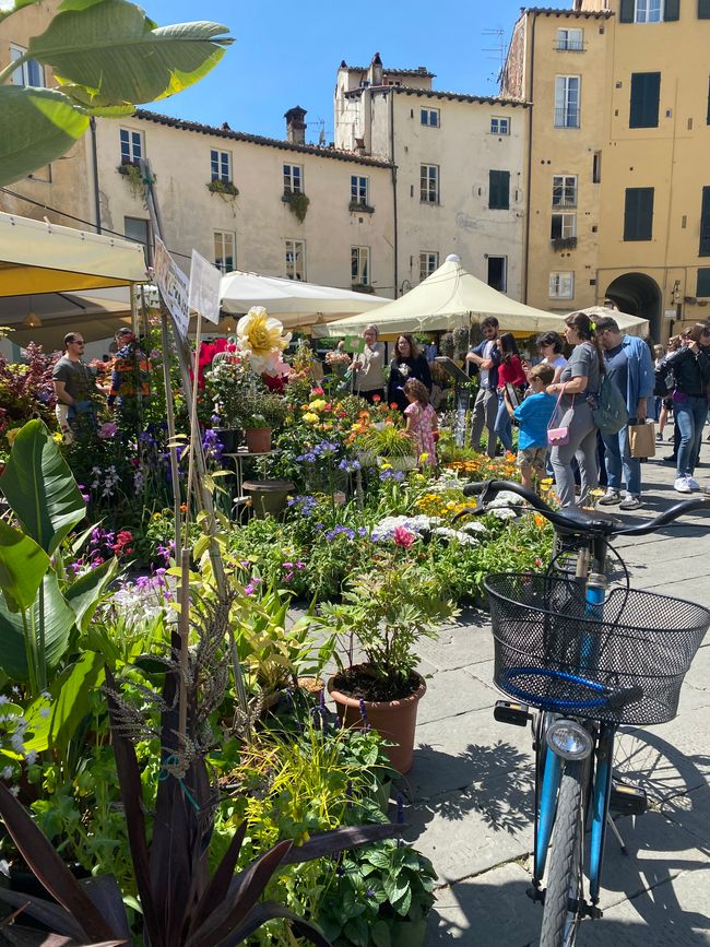 Piazza dell Amfiteatro