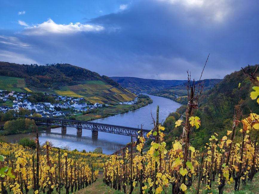 Mosel