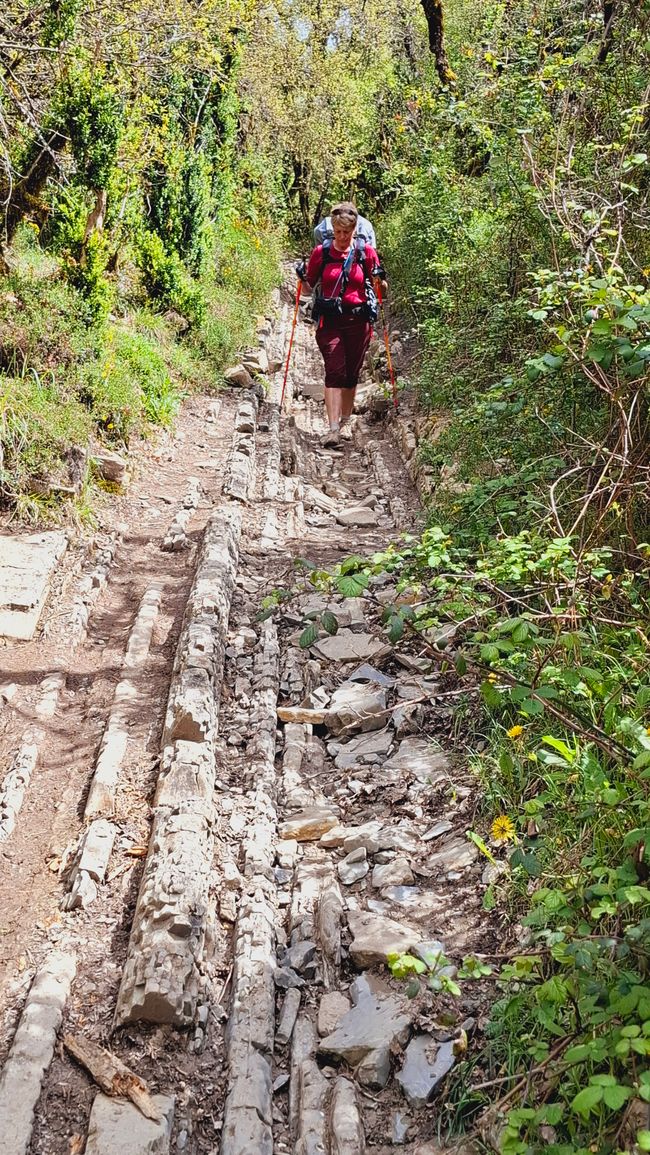 Presque de l'escalade