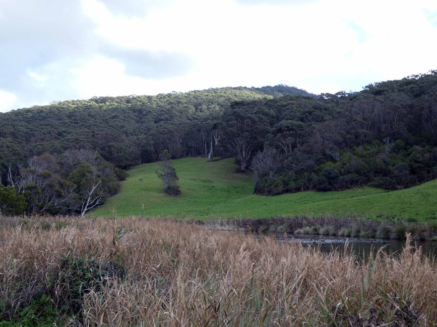 Sentiero Naturalistico del Fiume Kennet