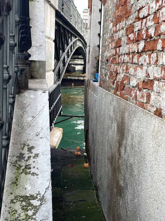 Wabisabi in Venedig