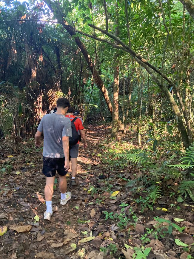 Escursione nel Parco Corcovado