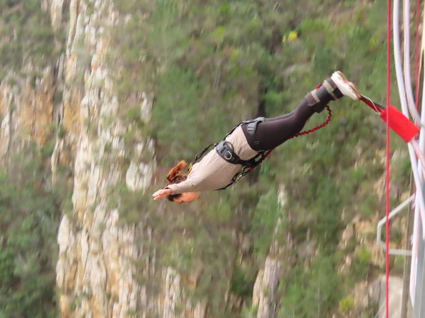 tuffo