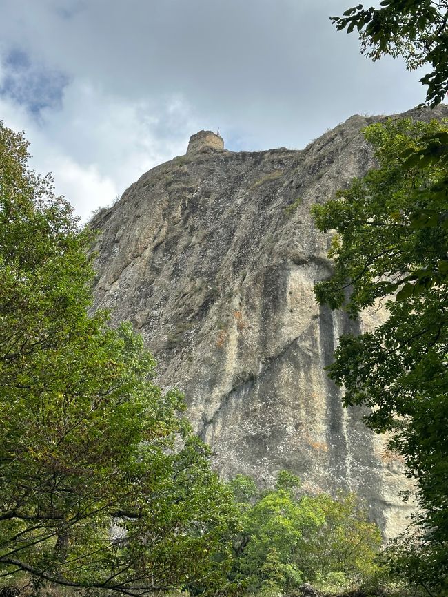 Blick zum Turm