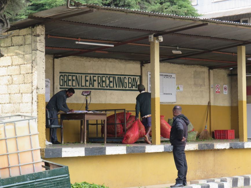 Nuwara Eliya - Dans les Highlands